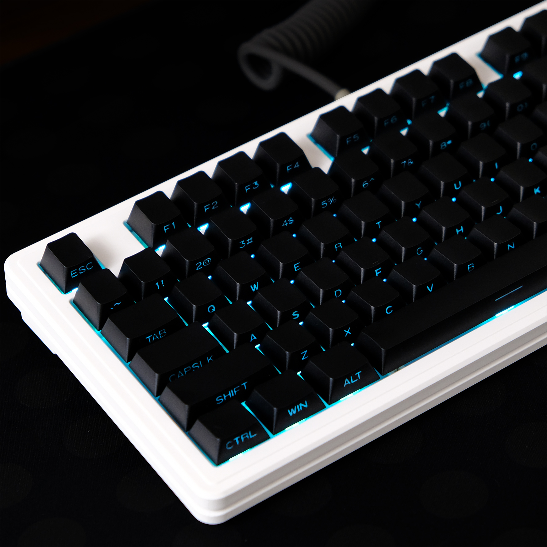 Black Side Print OEM Profile M - Keyboard Gaming Black 리뷰 및 가격